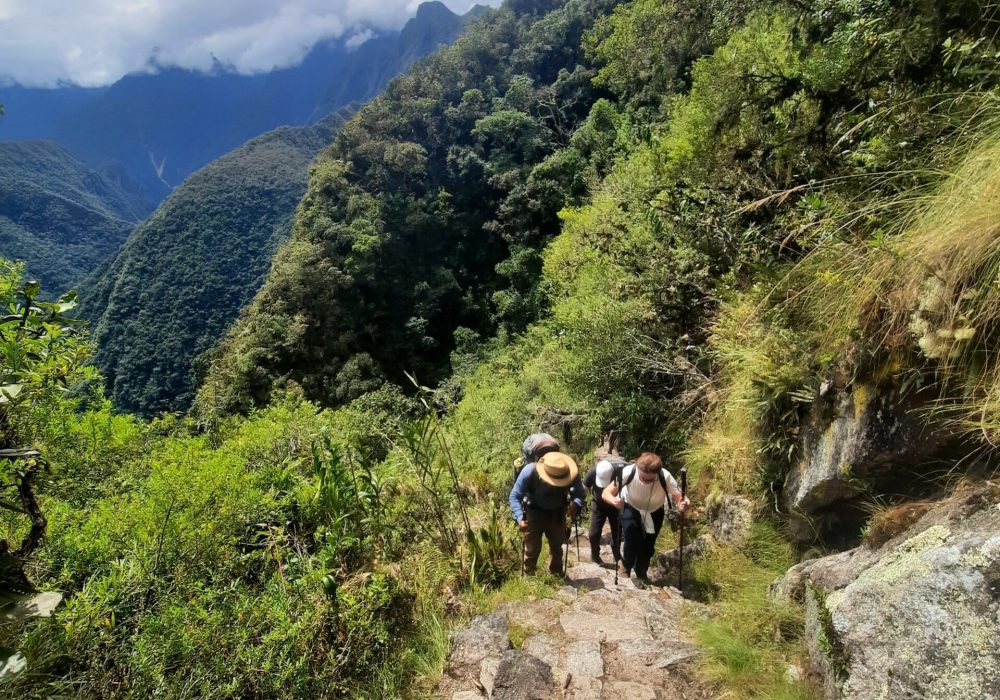 Trekking door bergpad